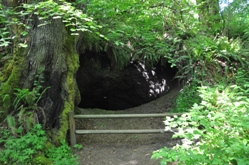 Coal Creek Trail