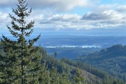 Green Mountain