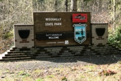 Nisqually 