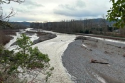 Orting Rim 