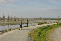 Skagit Wildlife Area