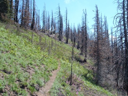 Bluff Lake Trail