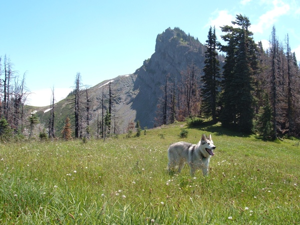 Lost Lake Lookout