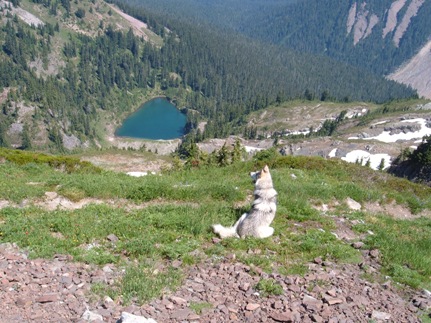 Coyote Lake