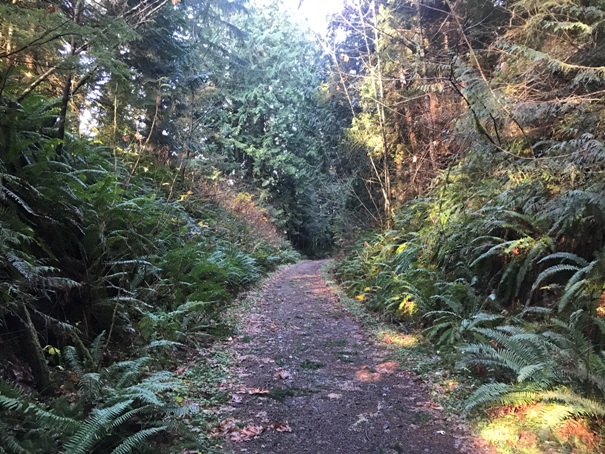 foothills trail