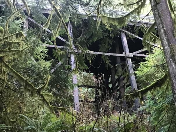 Wood bridge 