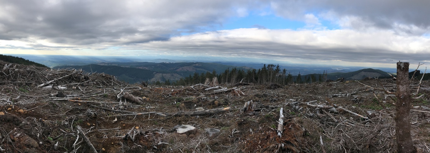 Larch Mountain 