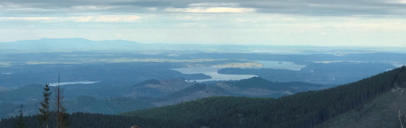 South Puget Sound 