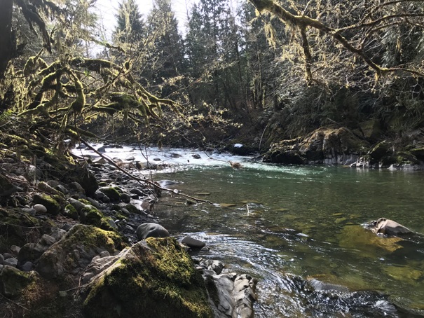 Carbon River