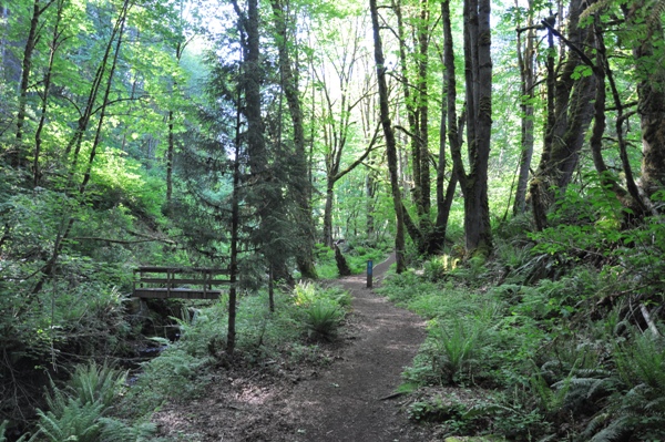 Coal Creek trail