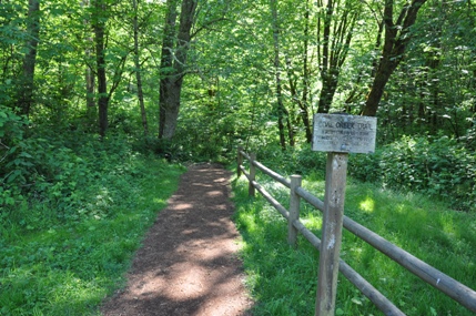 Coal Creek trail