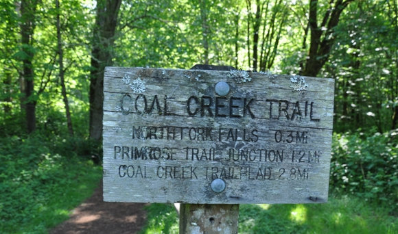 coal creek