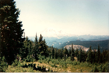 PCT near White Pass