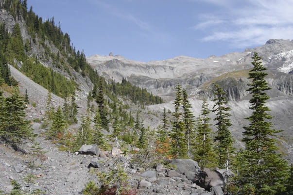 starting up Emerald Ridge