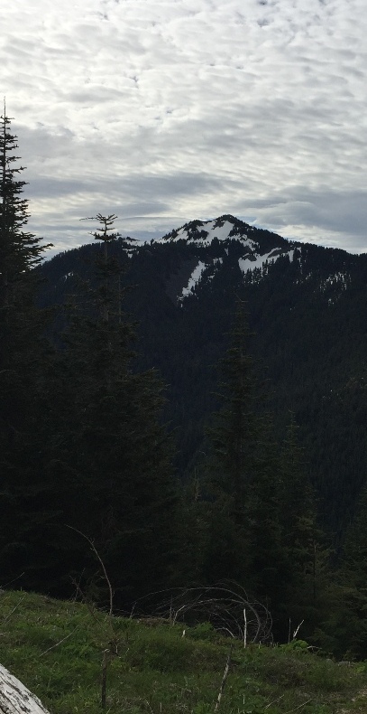 Old Baldy Mountain