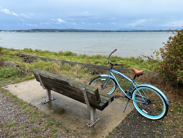 bikes 