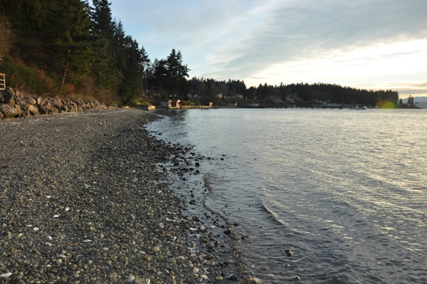 beach houses