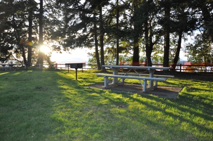 picnic area