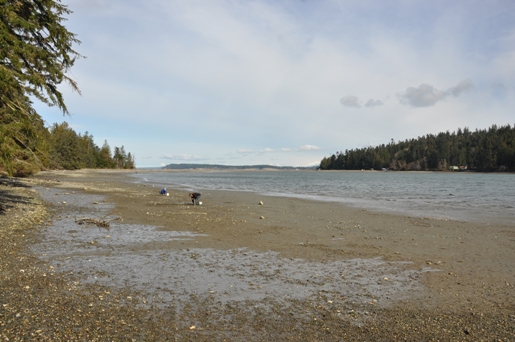 clam digging