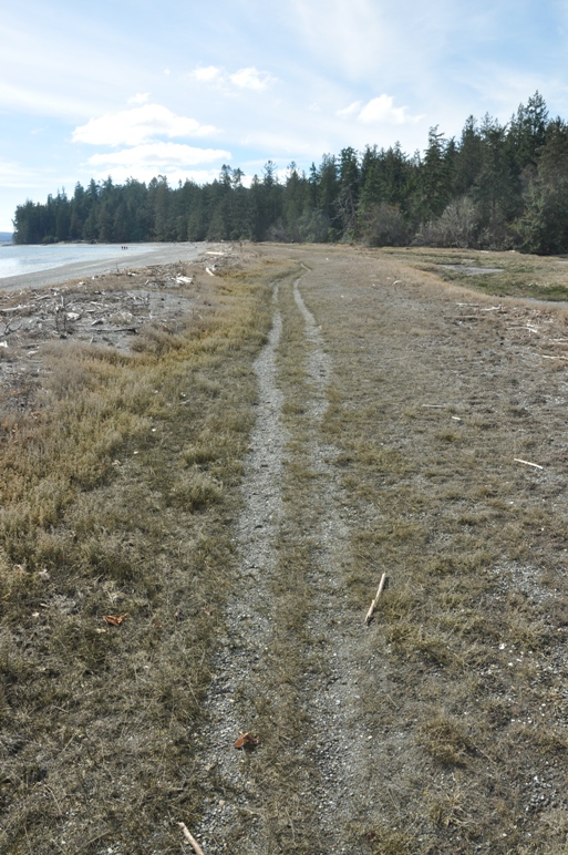 High tide trail 