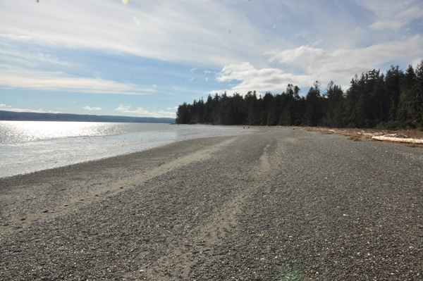 low tide