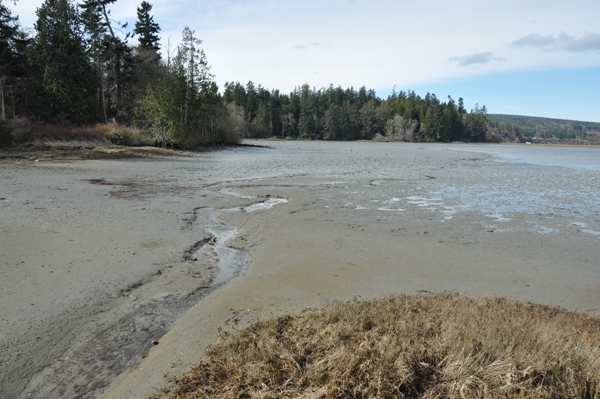 mud flats