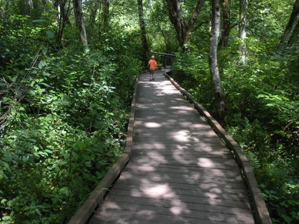 hylebos wetlands boardwalk