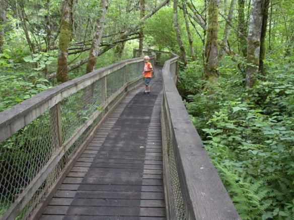 hylebos wetlands boardwalk