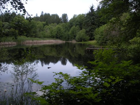 hylebos wetlands lake