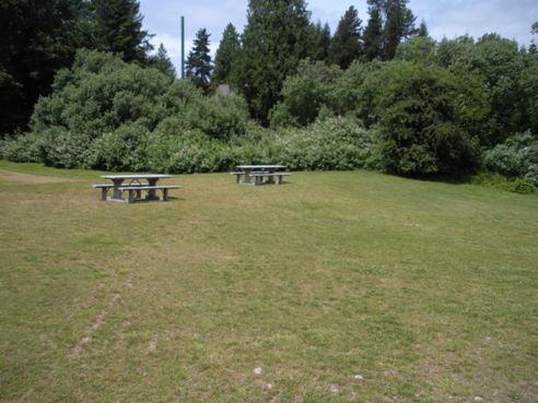 Picnic area, hylebos wetlands