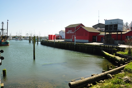 Ilwaco Fishing Co.