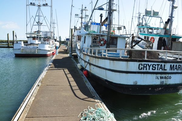 Fishing Fleet