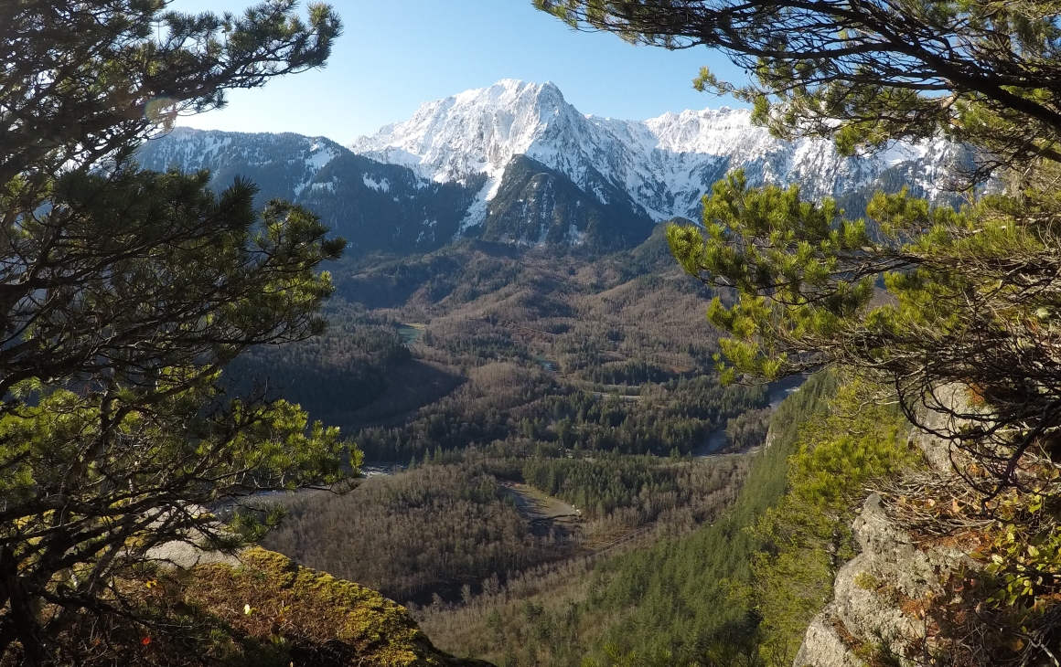 Mt. Index 