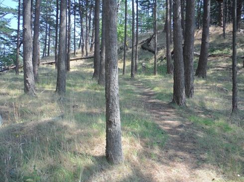 hiking trail