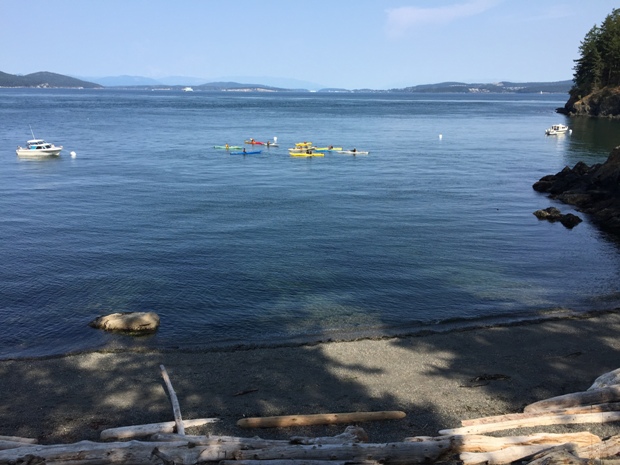 rosario strait