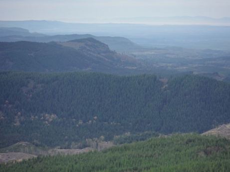 Dobbs Mountain 