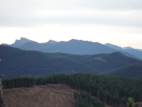 Sawtooth Ridge 