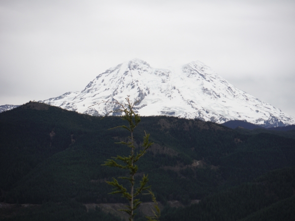 mount rainier