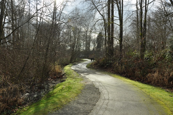 wallace creek swamp 