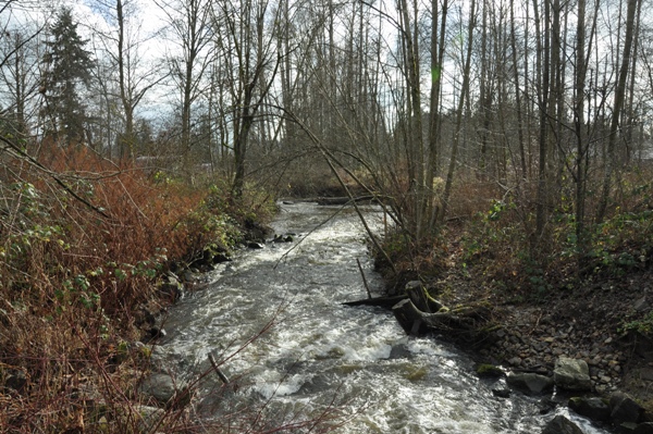 wallace swamp creek  