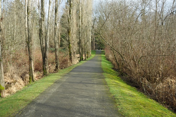 Wallace Swamp Creek Park