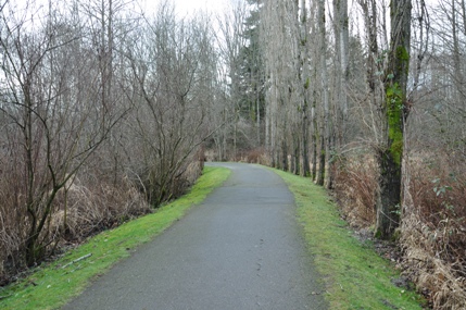 wallace swamp creek