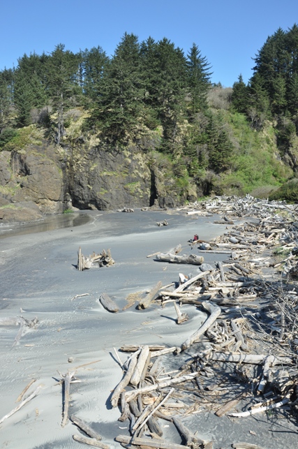 cape disappointment