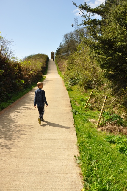 lighthouse trail