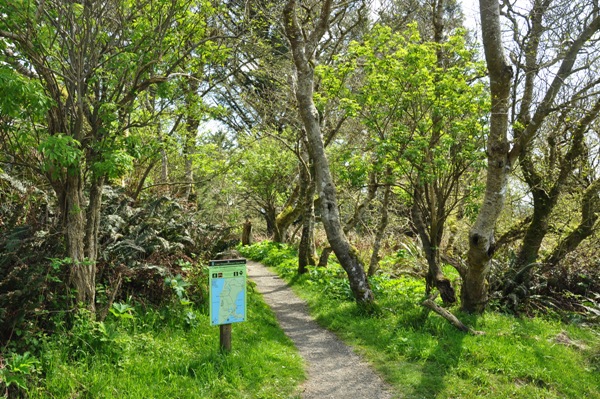 hiking trail