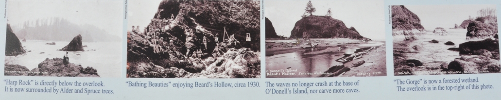 historic beards hollow