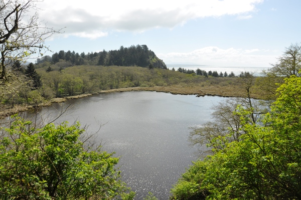 McKenzie Head Lagoon