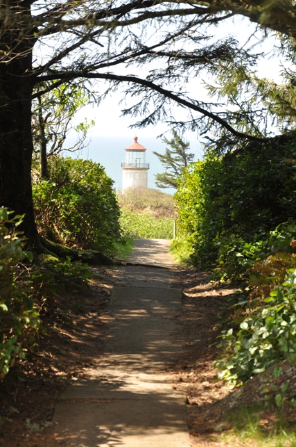 Trail to North Head 