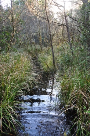 leadbetter state park