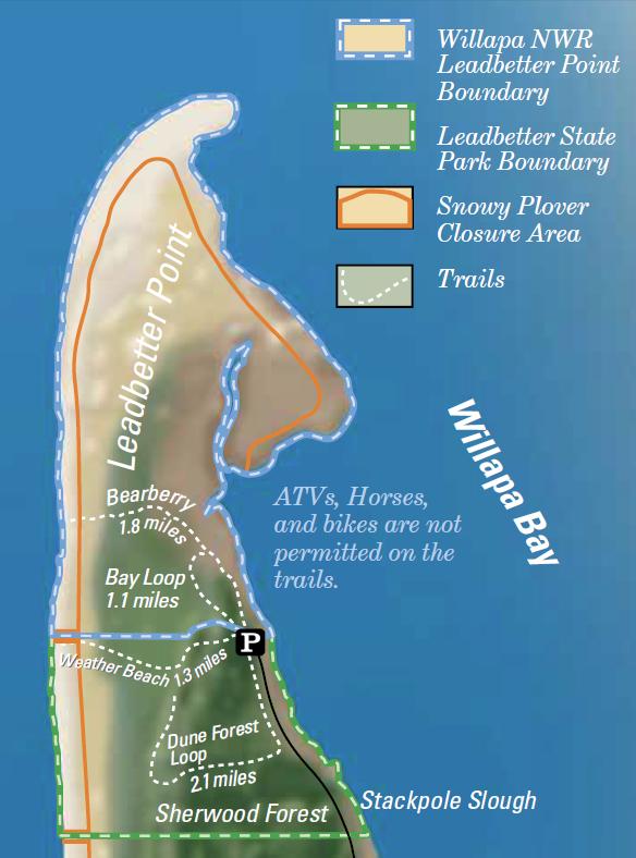 leadbetter point map